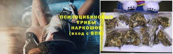 мет Арсеньев