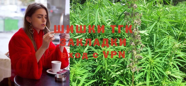 Альфа ПВП Новозыбков