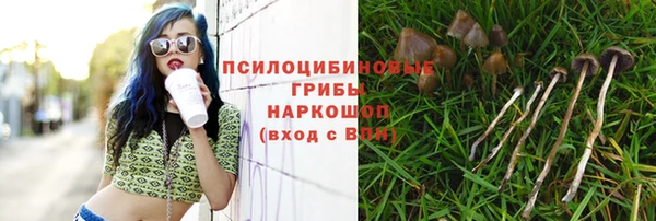 мет Арсеньев