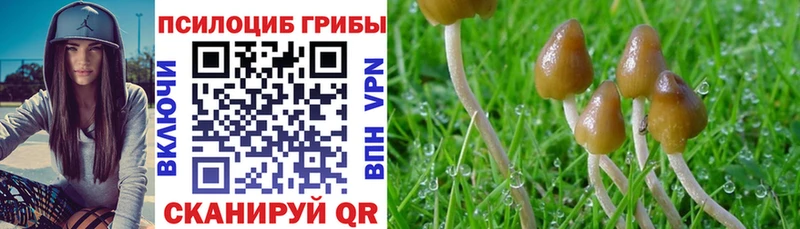 Галлюциногенные грибы MAGIC MUSHROOMS  купить наркотики сайты  hydra   Макарьев 